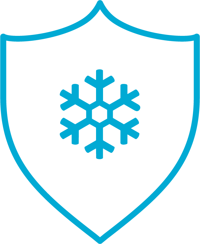Icono de un copo de nieve en un escudo